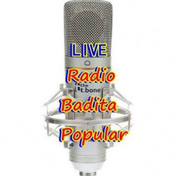 Radio Badita Popular logo