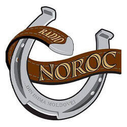 Radio Noroc logo