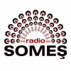 Logo radio SOMEȘ