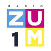 Logo Anii 2000 - Radio Zum